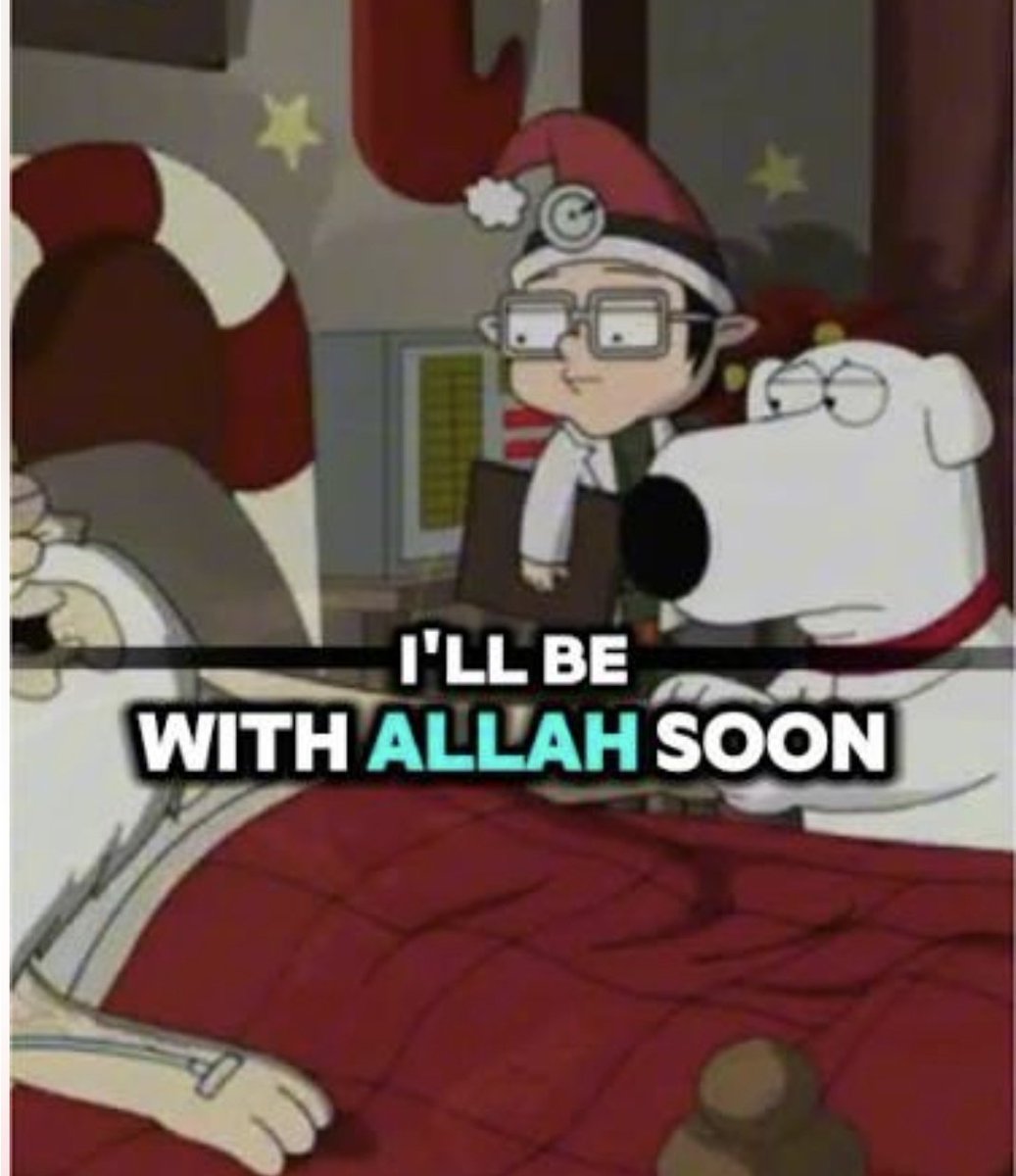 unstinkable aircraft carrier 🔻🌽 tweet media