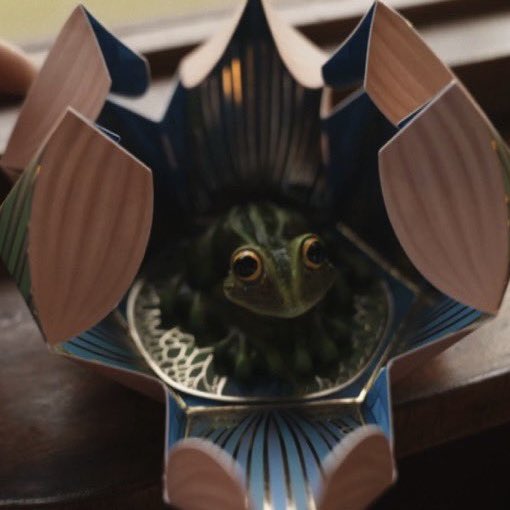 Esse será o novo visual dos Sapos de Chocolate do mundo bruxo 🐸