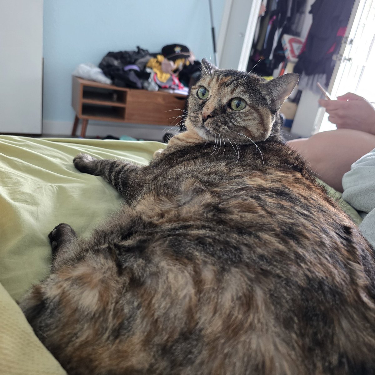 gamedotfilm's tweet image. Lazy Sunday #Marge