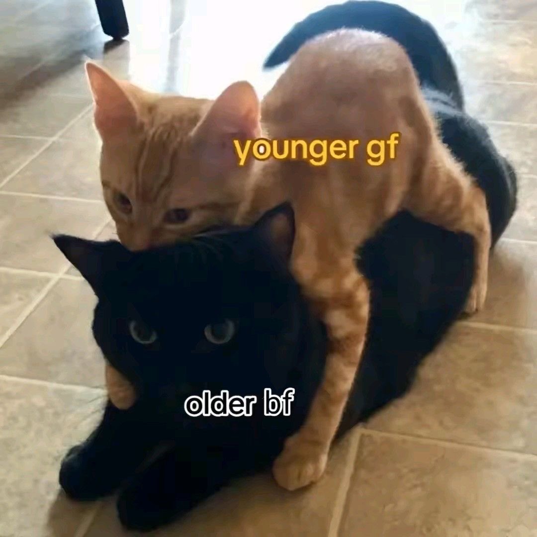 ᵣₑᵢₖₒ tweet media