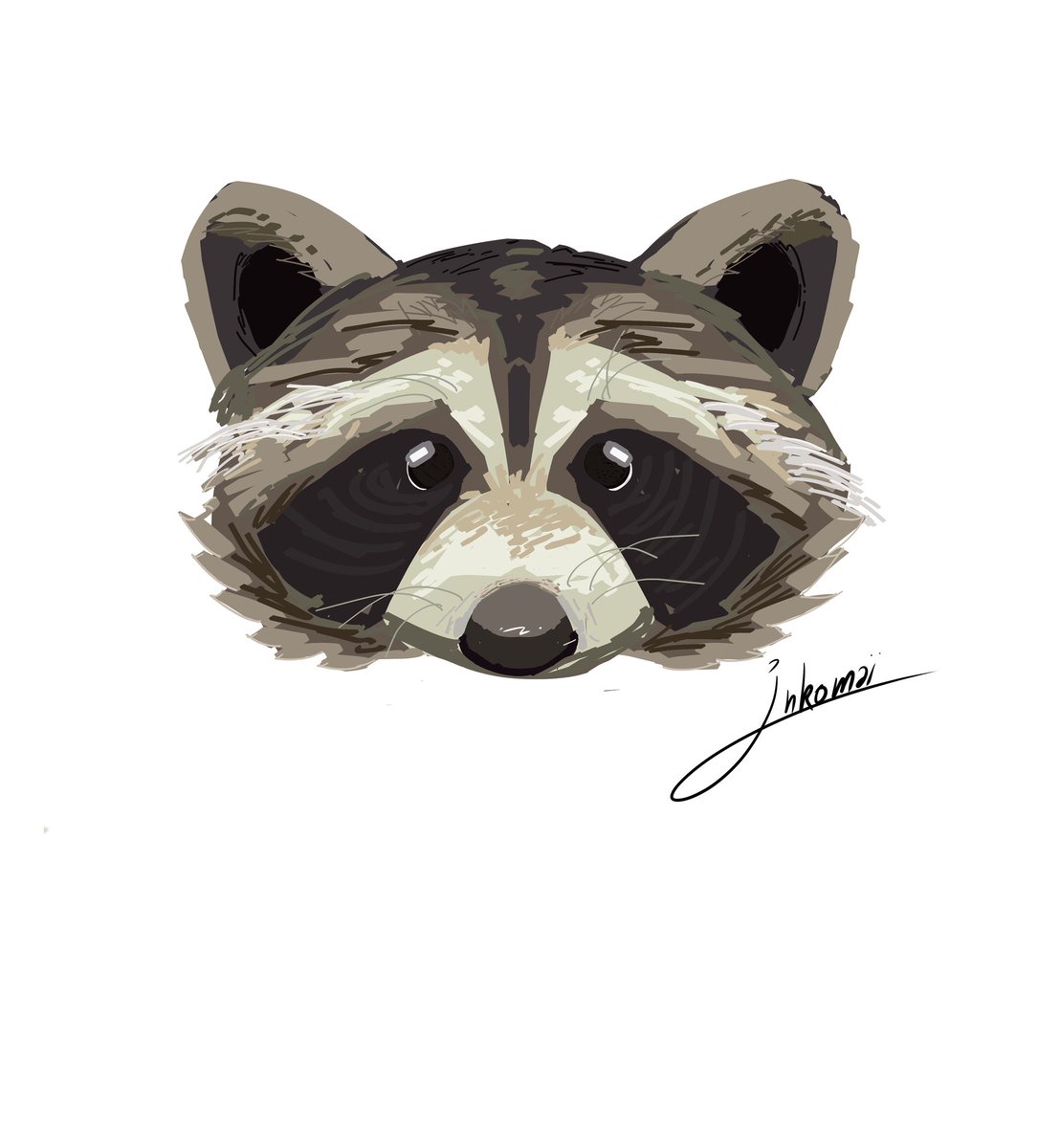 🦝