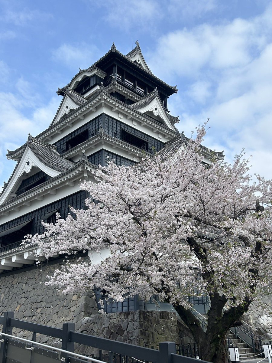 熊本城【公式】 tweet media