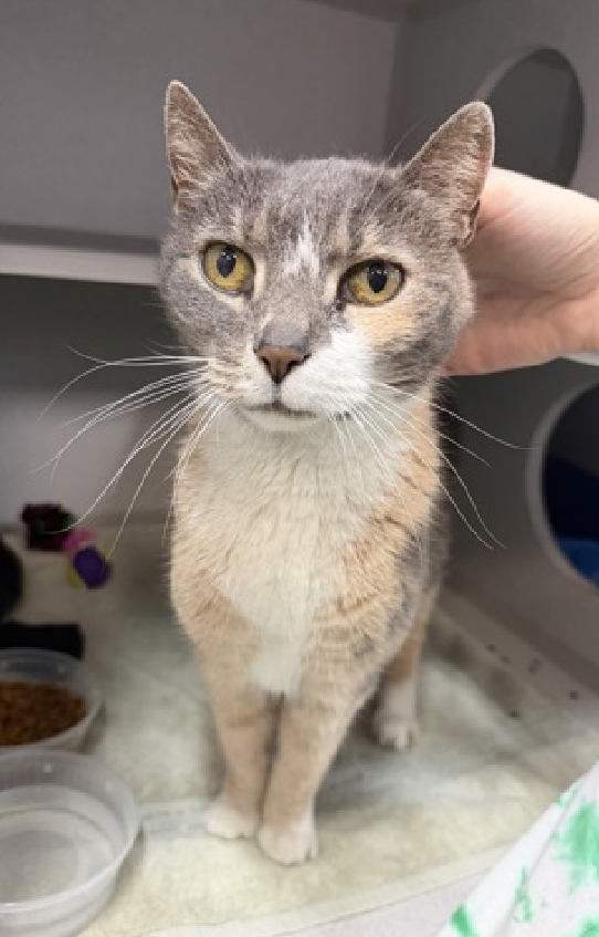 Jack5928 tweet media