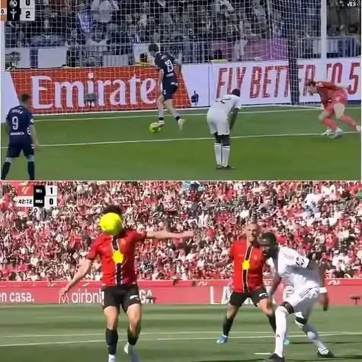 Free man tweet media