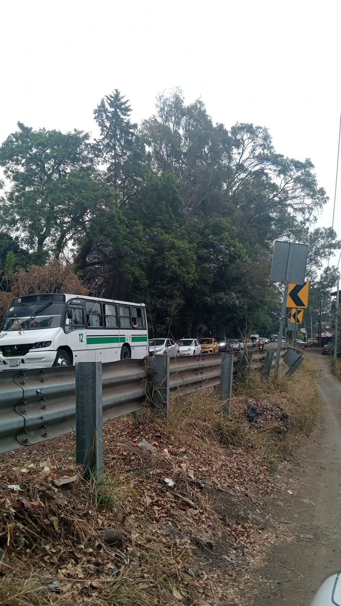 Extra de Morelos tweet media