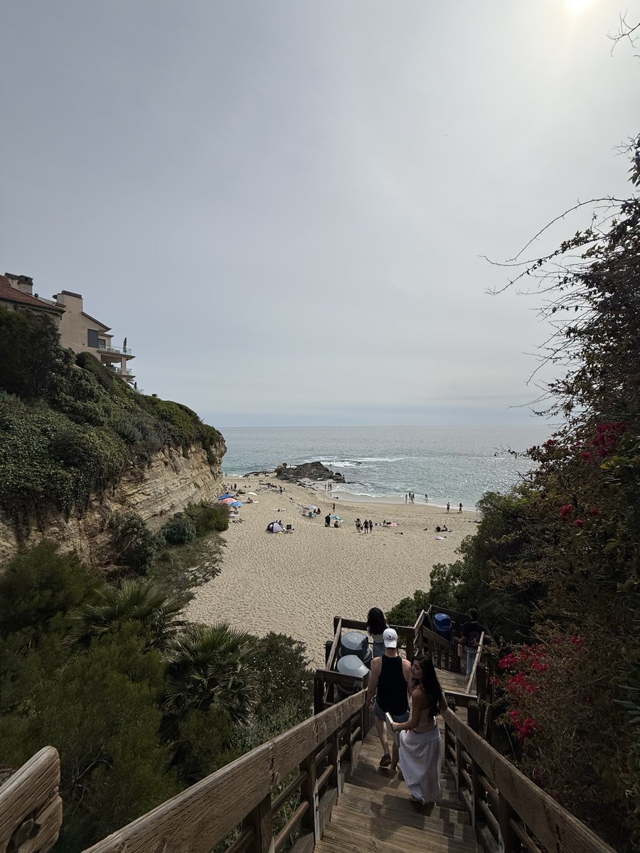 Kyle Mistele 🏴‍☠️ tweet media