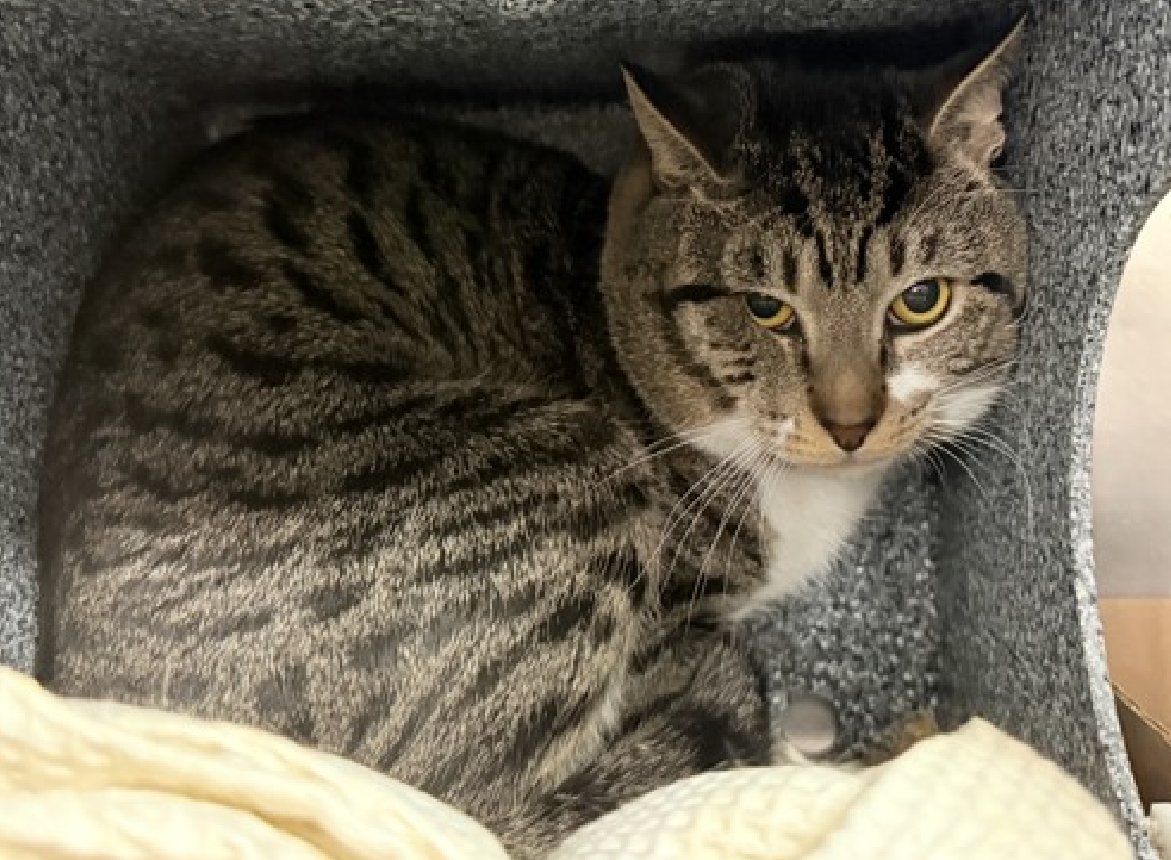 Jack5928 tweet media