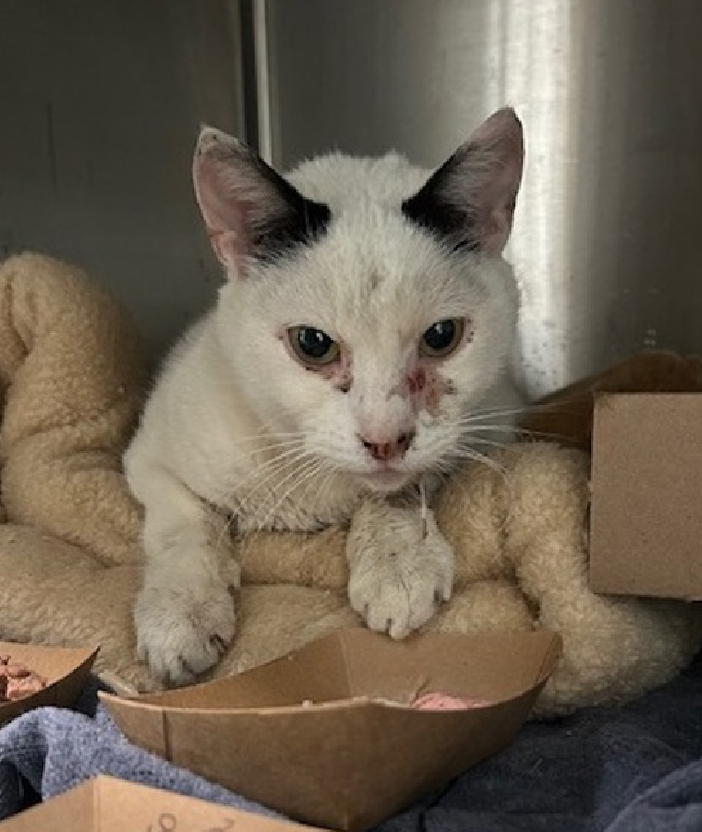 Jack5928 tweet media