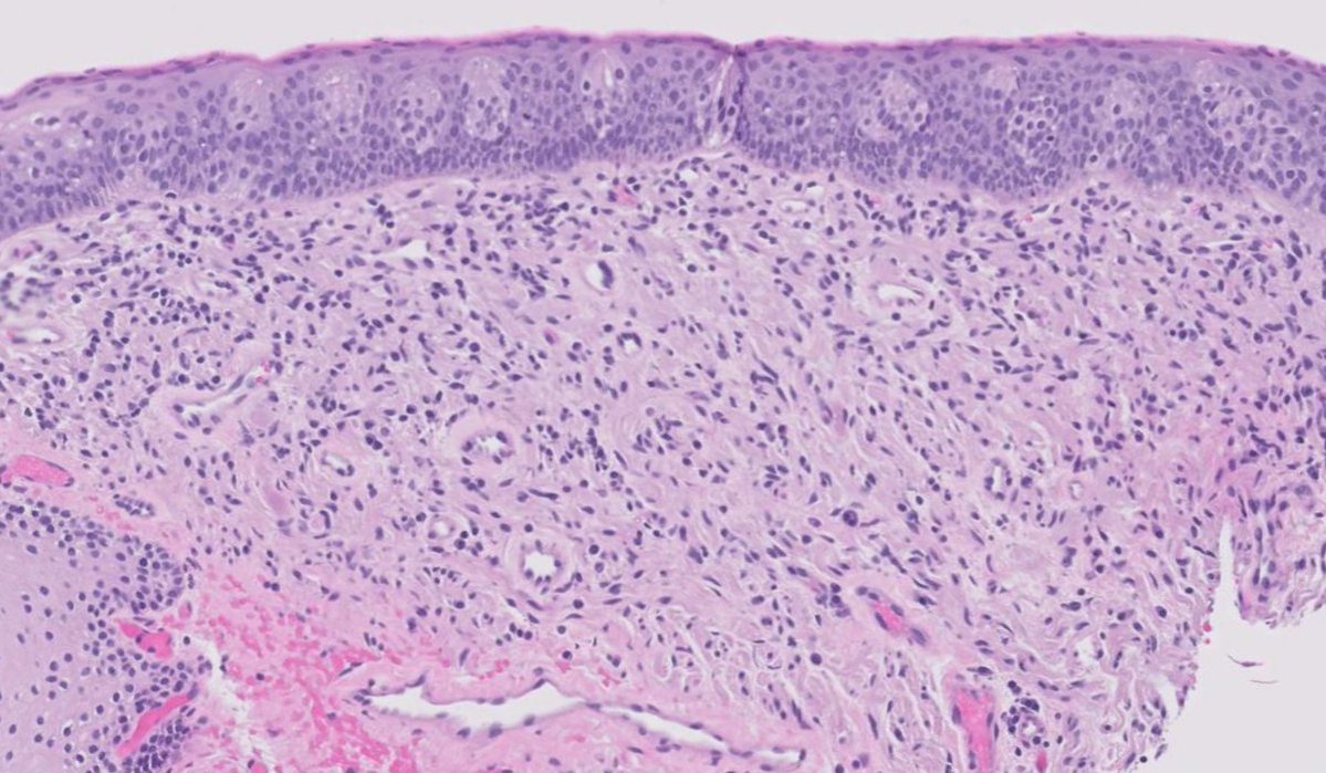 Janira Navarro tweet media