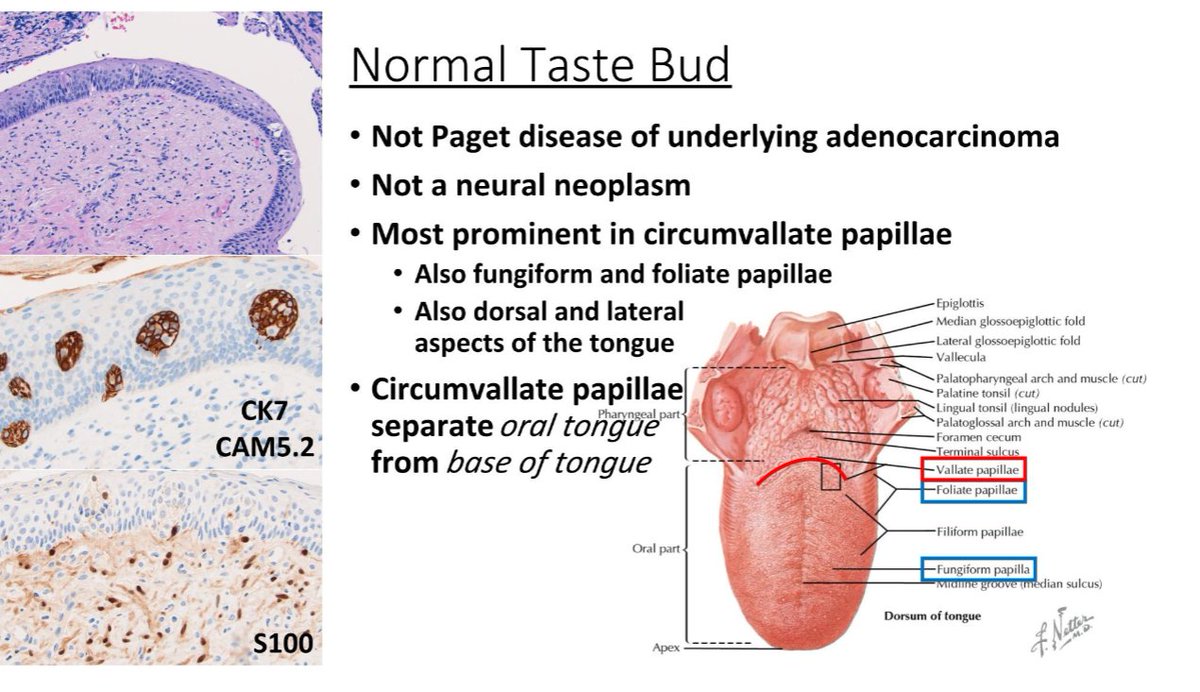 Janira Navarro tweet media