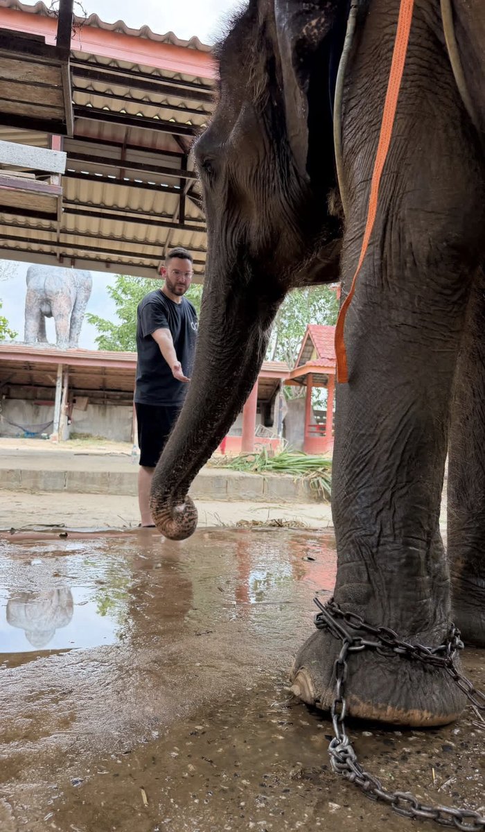 Timothy Sykes tweet media