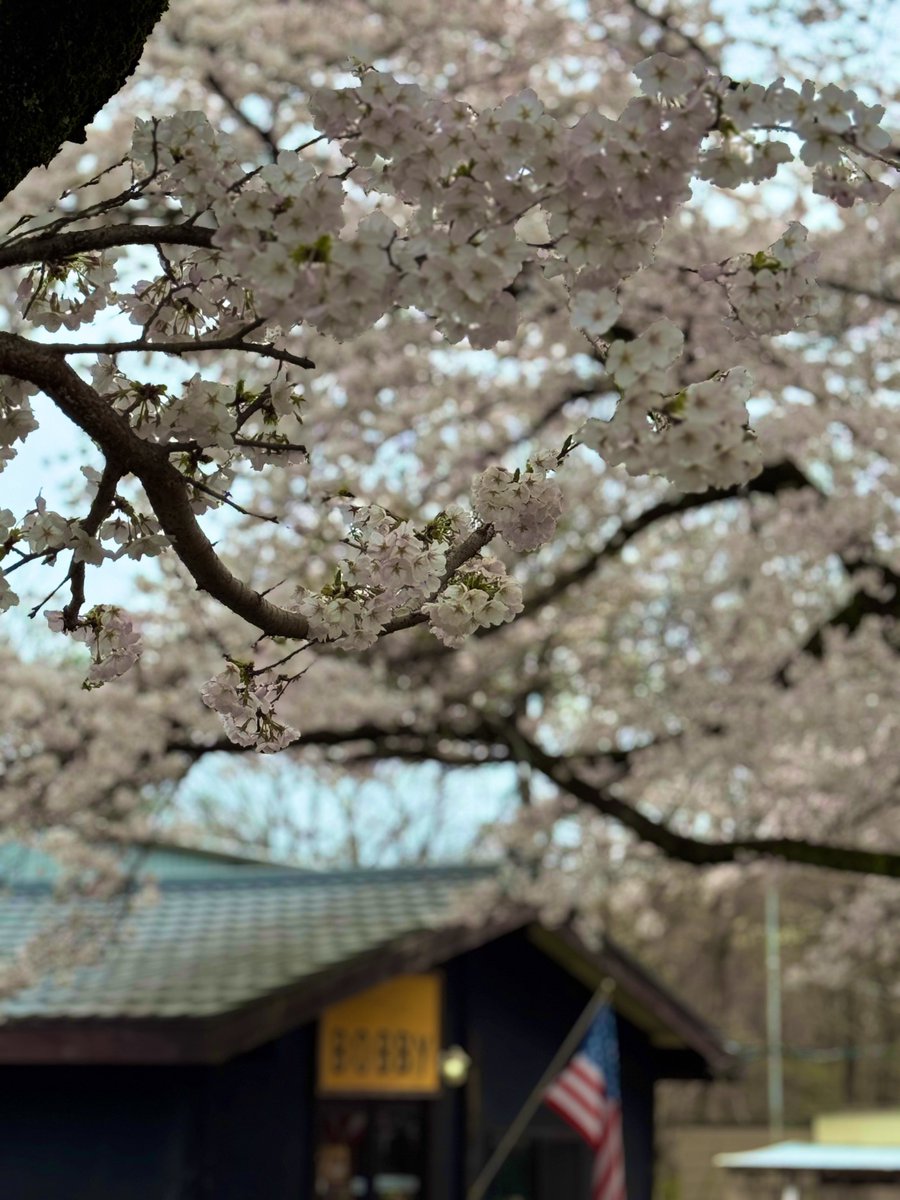 ひろゃ🤖 tweet media