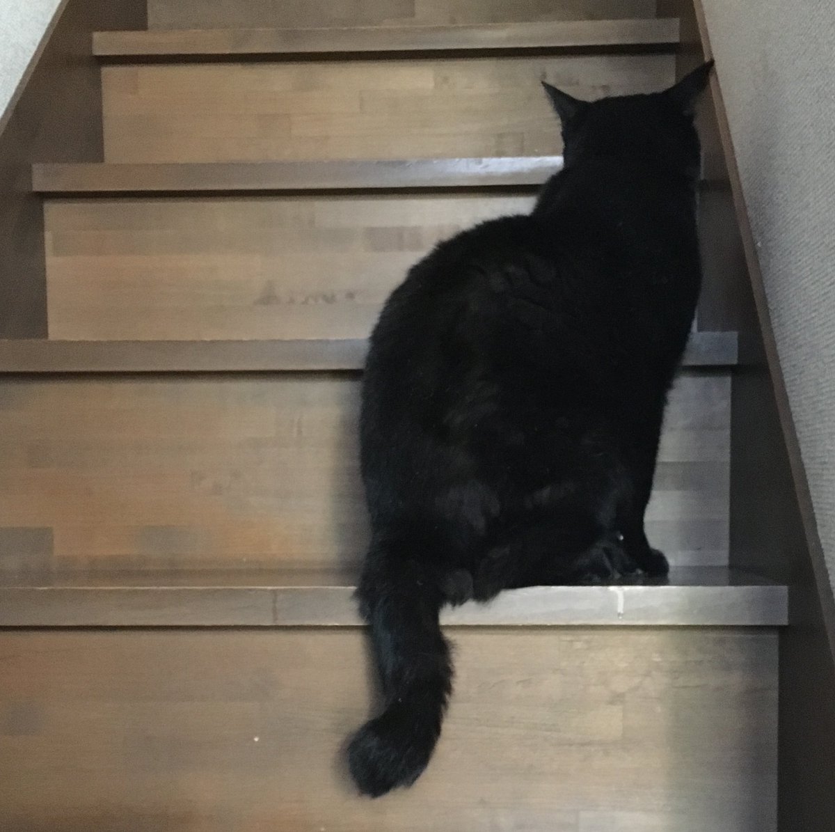 絵奈🍀energy tweet media