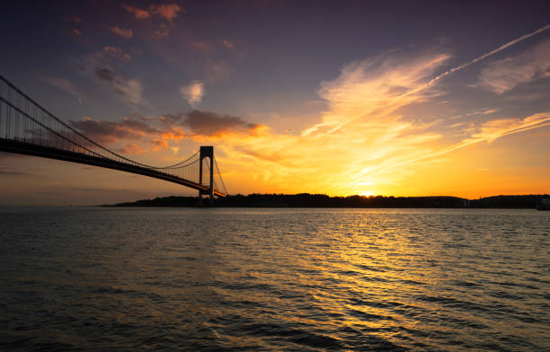 Dedre Solaris tweet media