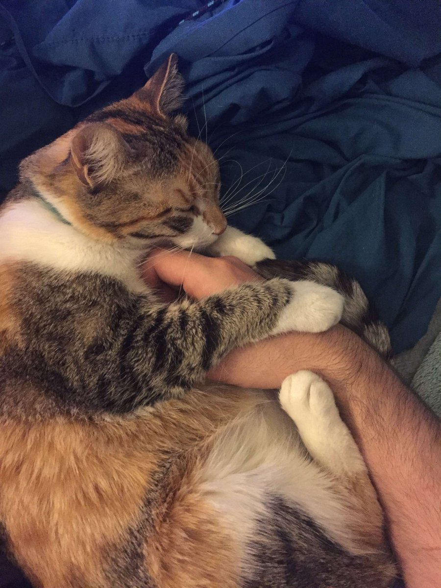 Scott Morris tweet media