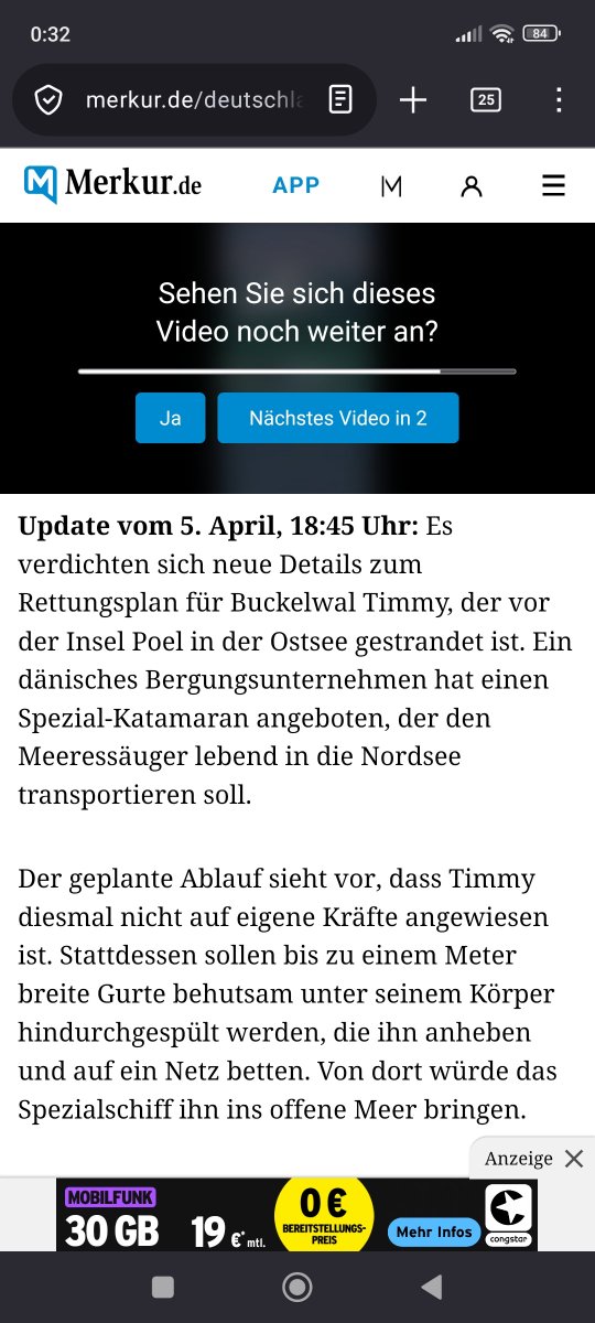 TIMMY BRAUCHT HILFE! 🐳♥️ tweet media