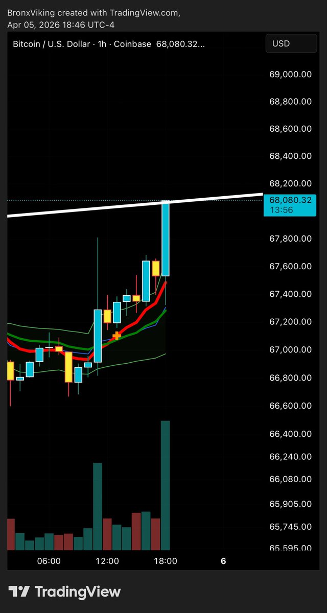 TheBronxViking tweet media