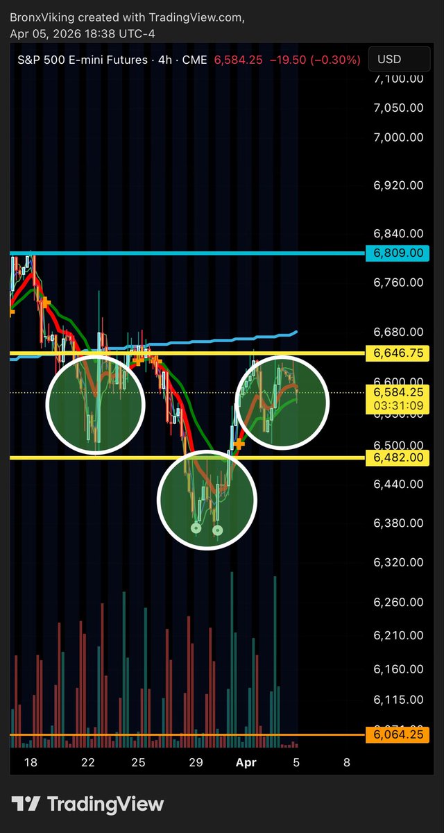 TheBronxViking tweet media