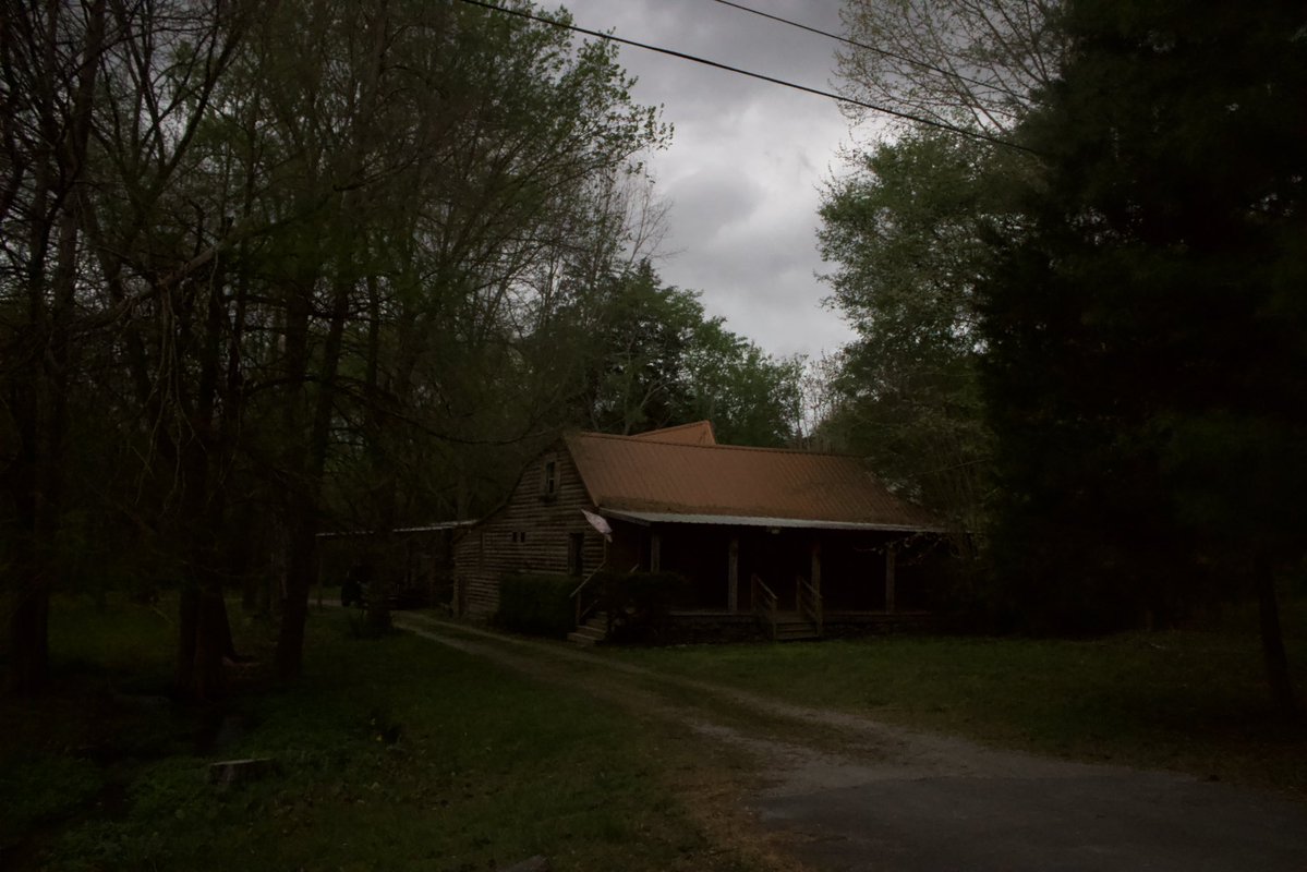 dreamland tweet media