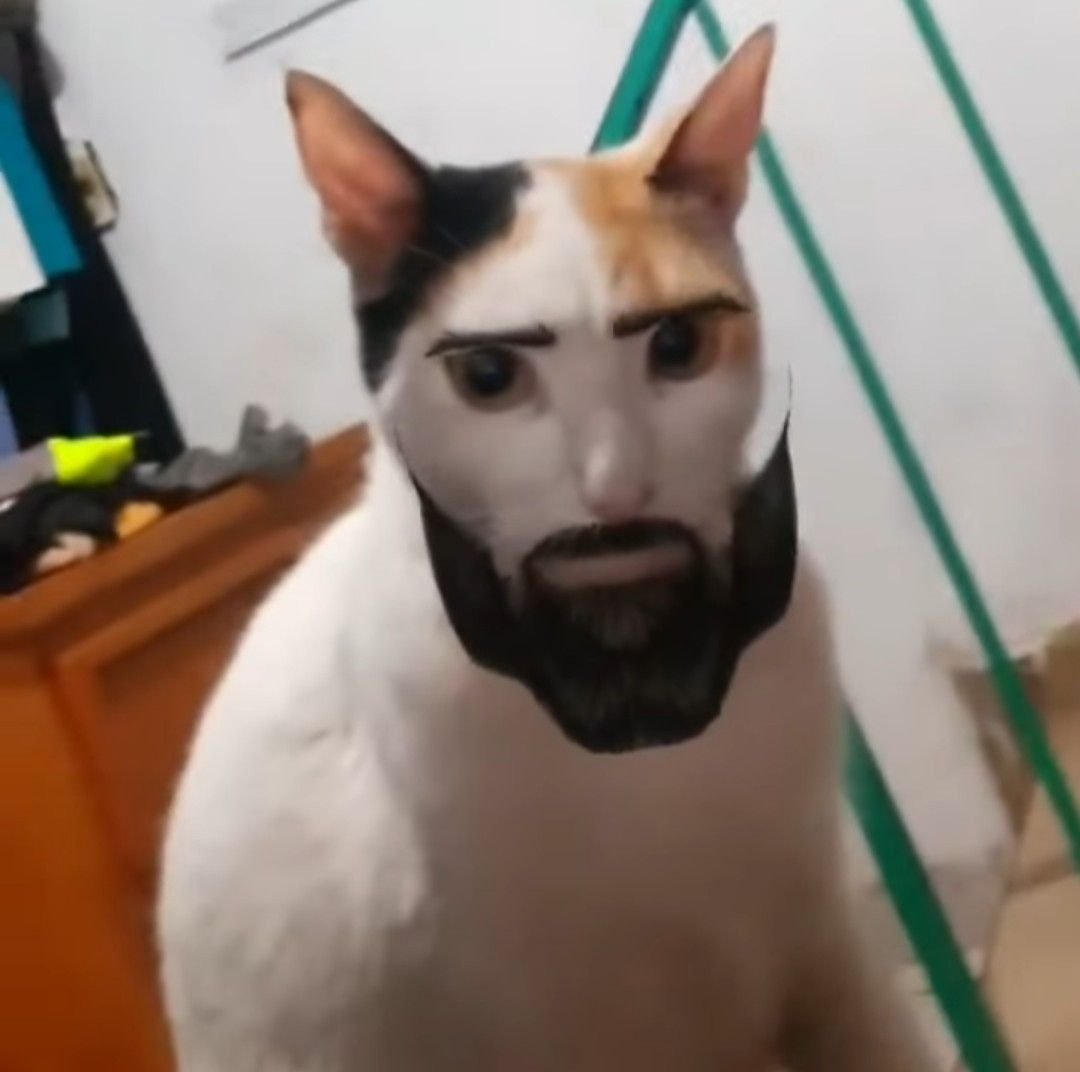 kkas⁷ 🦇 tweet media