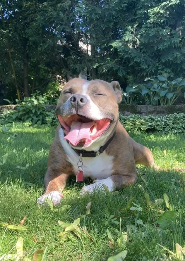 Anya 😺| I got Krauser pregnant| #Free🇵🇸 tweet media