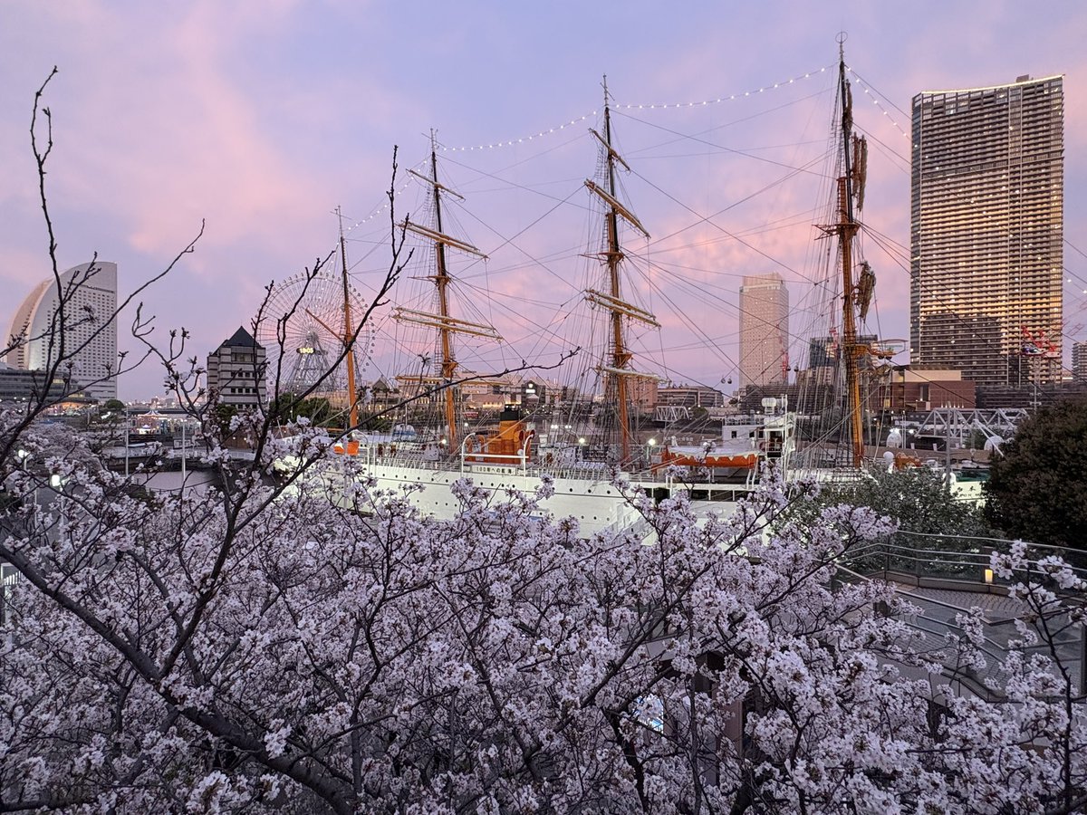 マジックアワーのみなとみらい🌆🌸