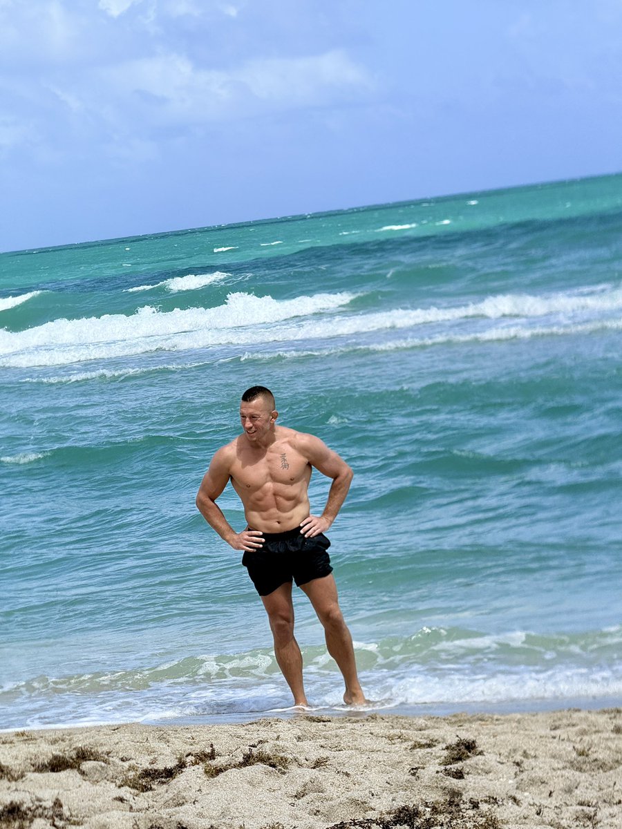 Georges St-Pierre tweet media