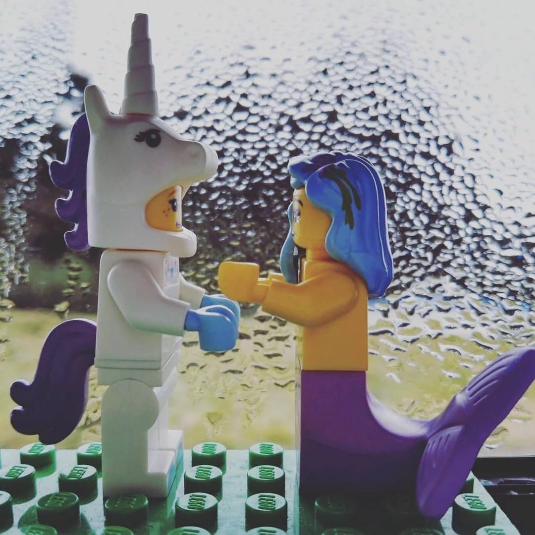 biscotti tweet media