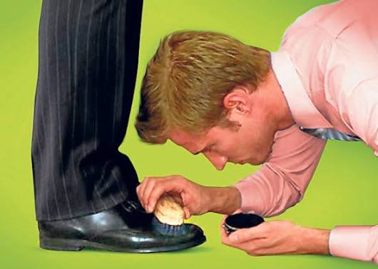 Rodo Siames 💛💛💛 tweet media