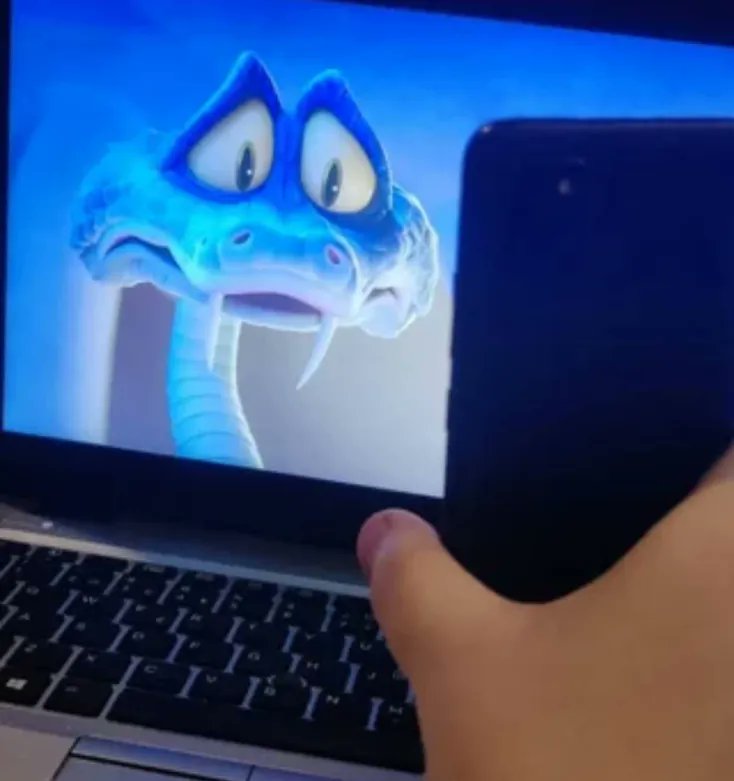 akamz303 🐍 tweet media