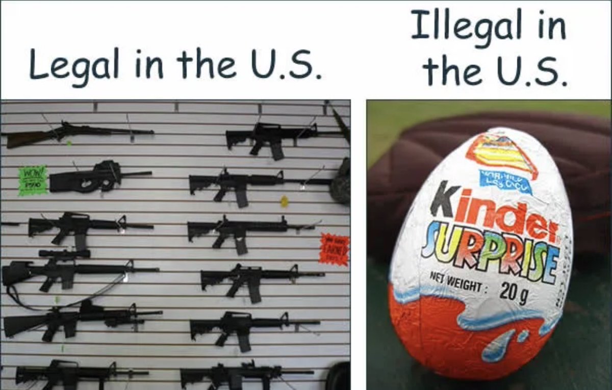 Michelle tweet media