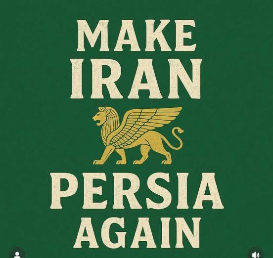 Chris Hammer tweet media