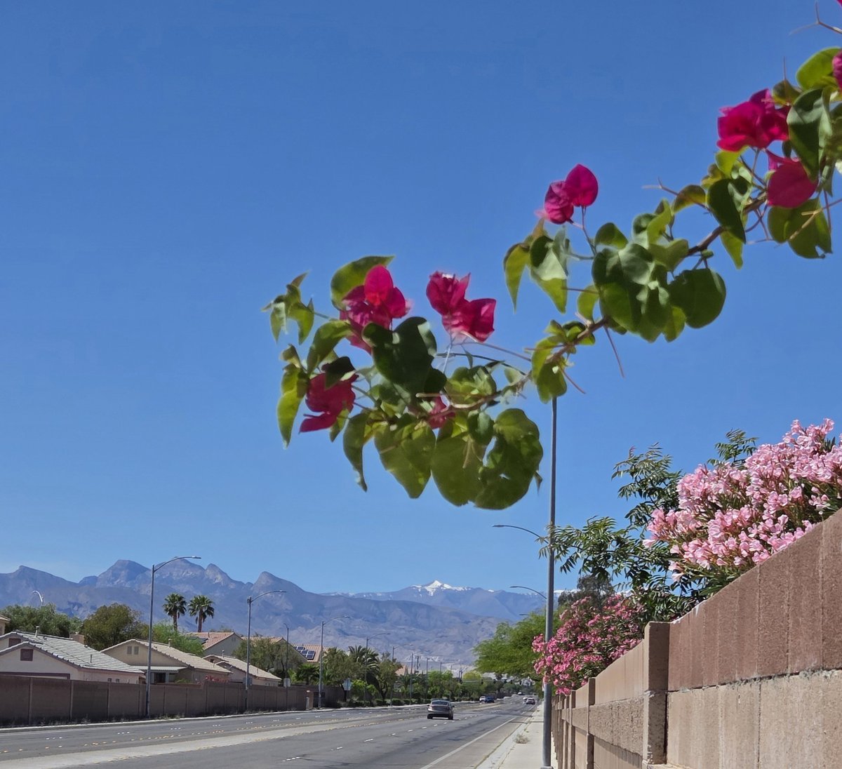 Sean Mcdowell tweet media