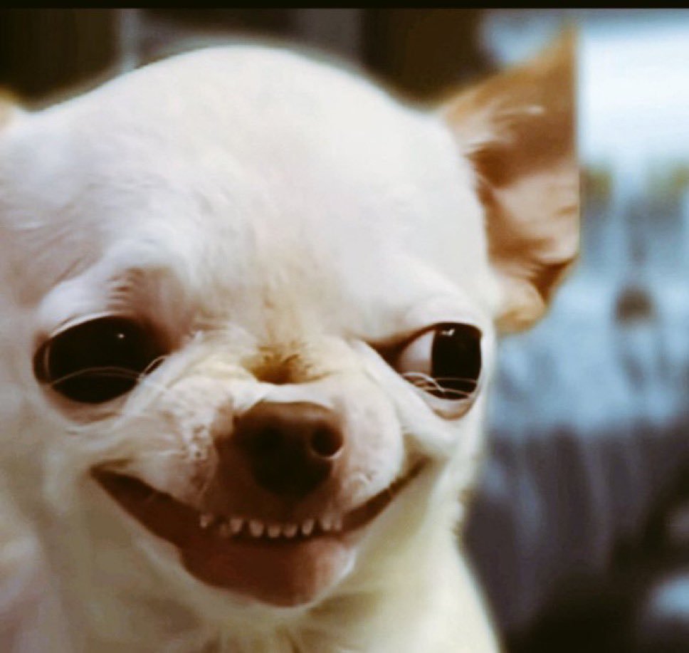 KING CHIDI tweet media