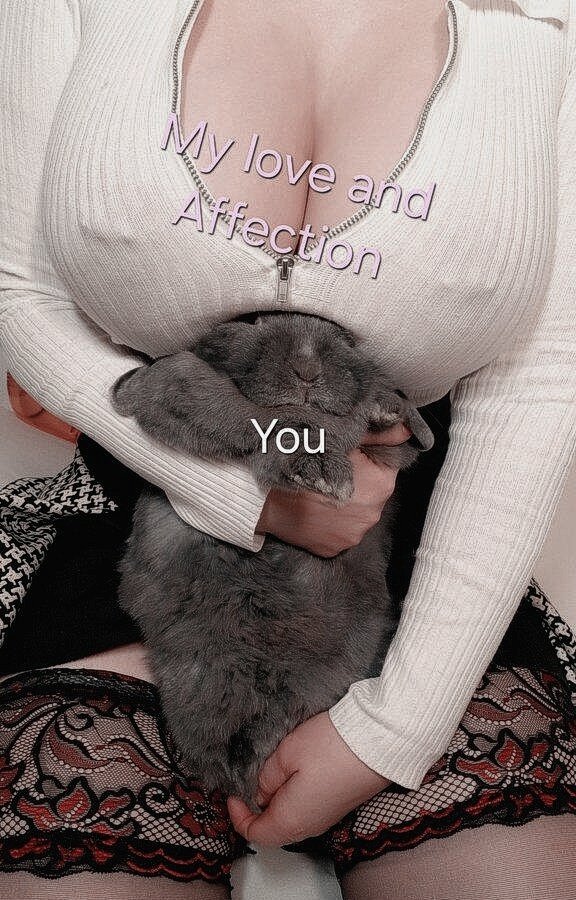 ͏𝙃𝑎𝑖𝑙𝑒𝑦. ͏ ͏ ͏ tweet media