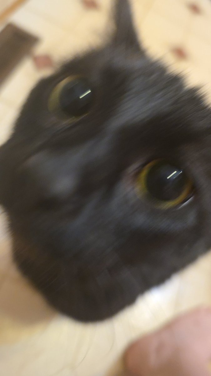 Phoenix 🩷💌🔪 | Artist tweet media