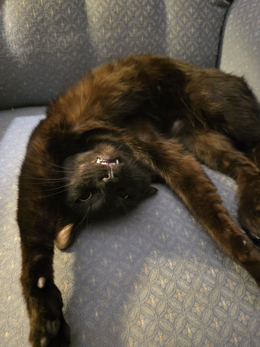 Phoenix 🩷💌🔪 | Artist tweet media