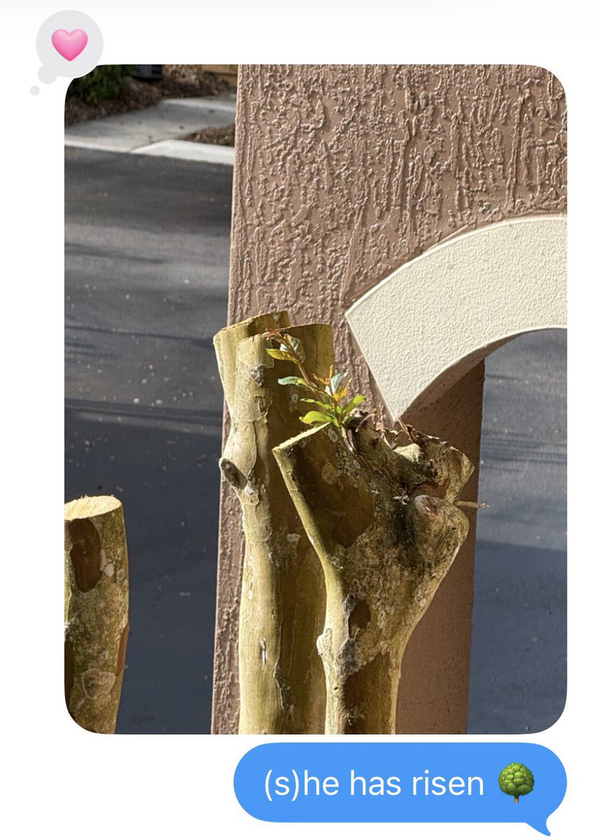 ☀︎ Mads ☀︎ 🌼 🥳 tweet media