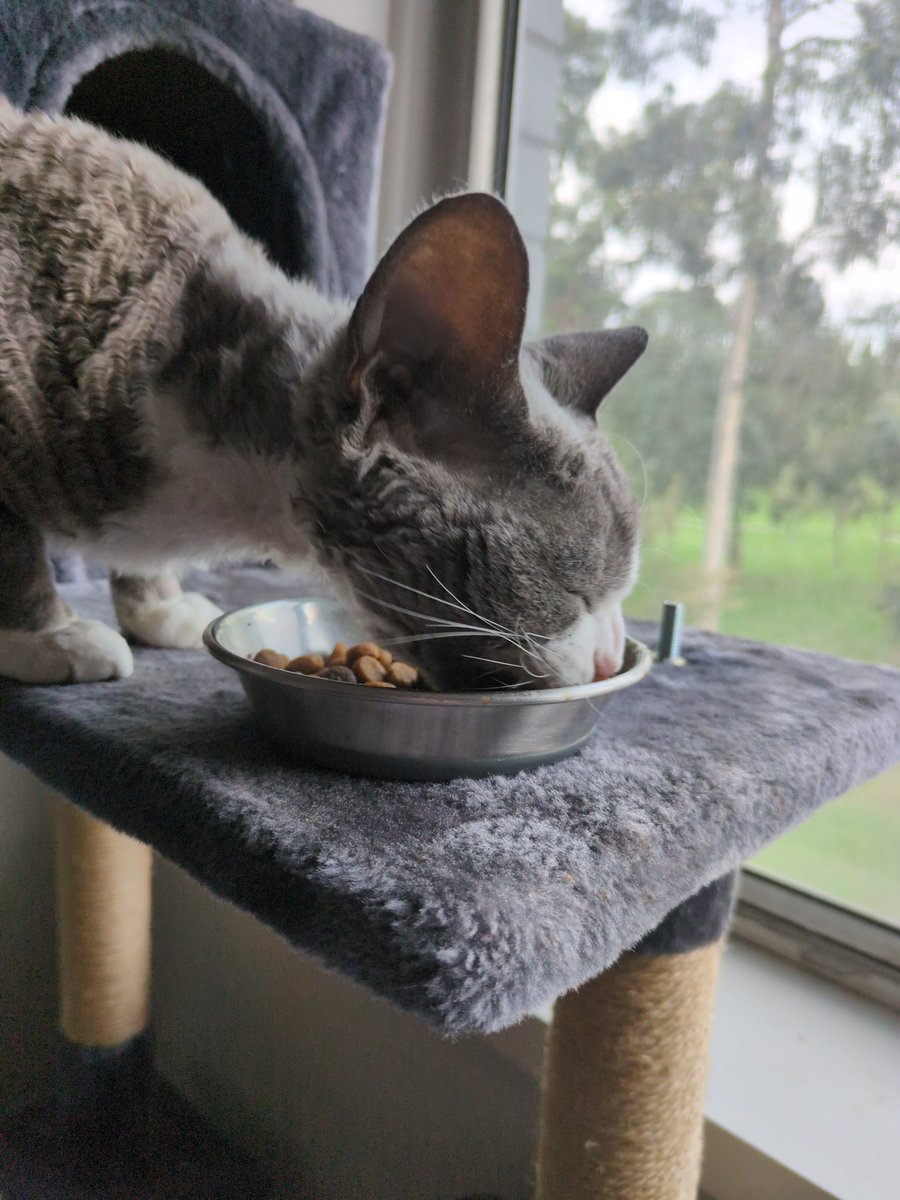 🎵Feeding that boy/
Is that the Chattanooga Churu?🎵