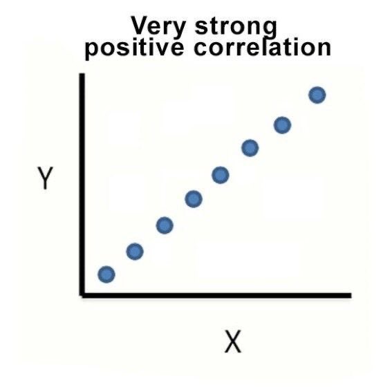 ⋆˚🐾˖☕️ tweet media