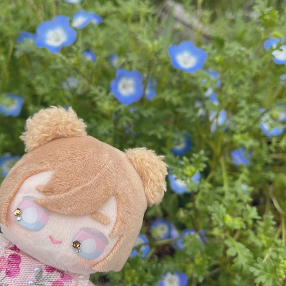 もふこ tweet media