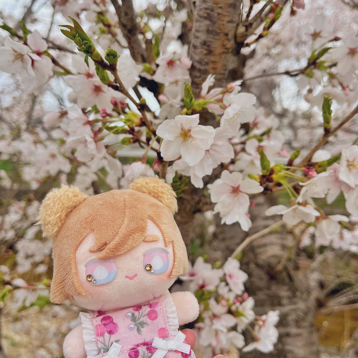 もふこ tweet media