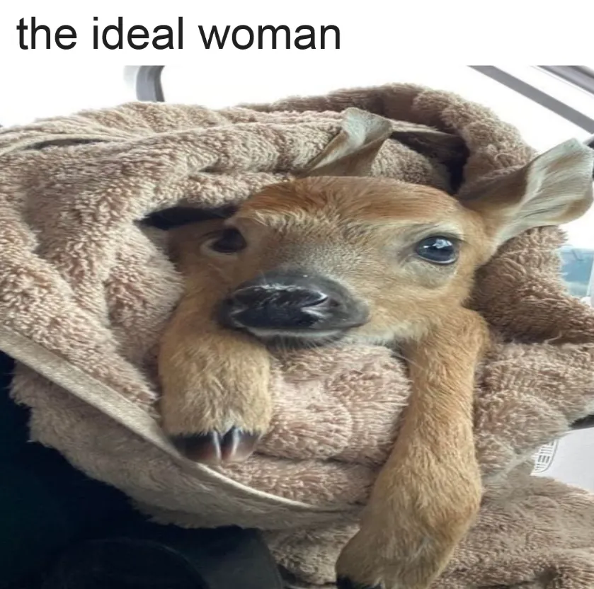 please 😞 tweet media