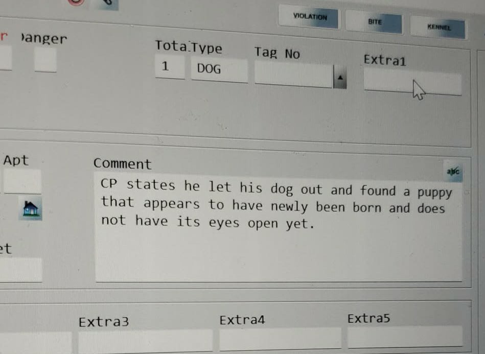 wharrgarbl forever 》》》400 lizards apparently tweet media