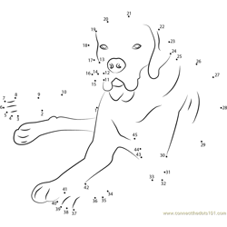 Monstrum Ex Ferrum tweet media