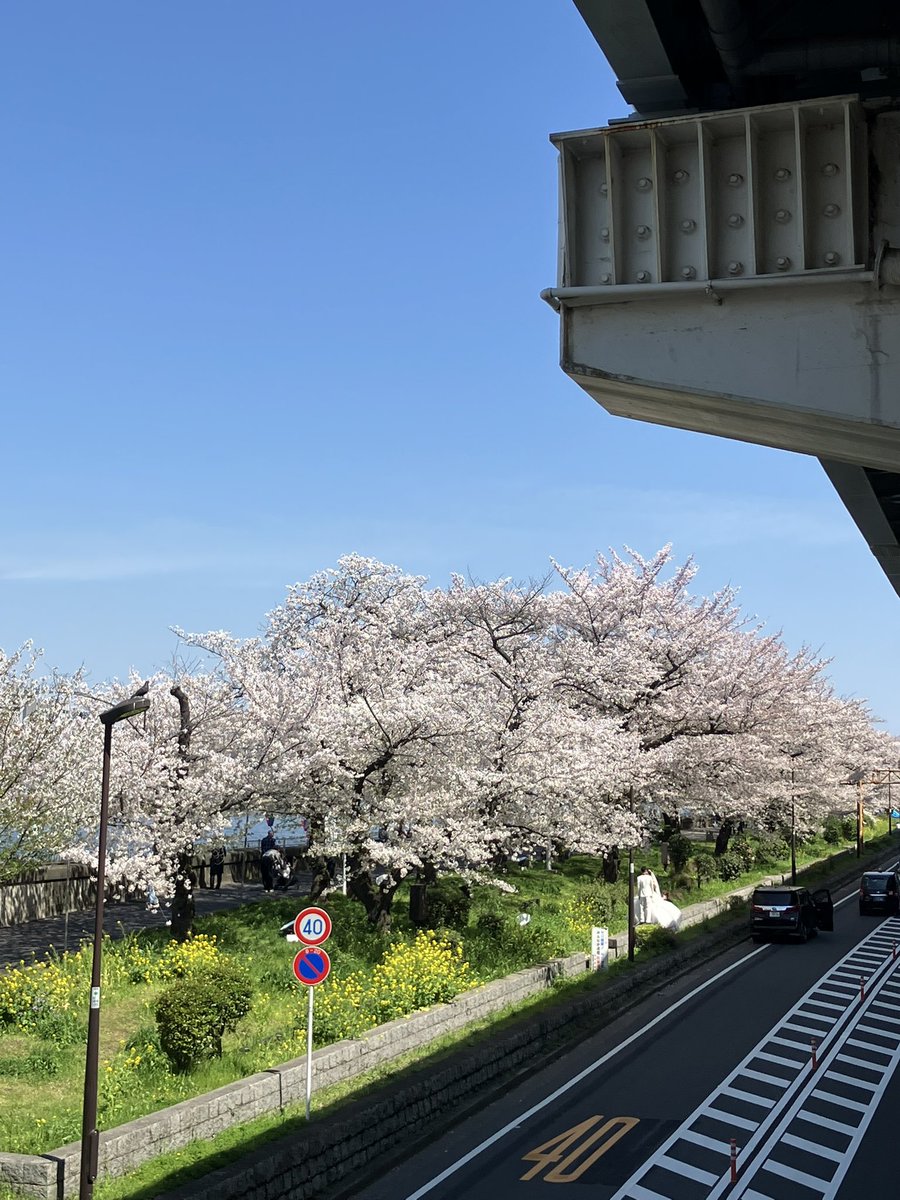 らすかる tweet media