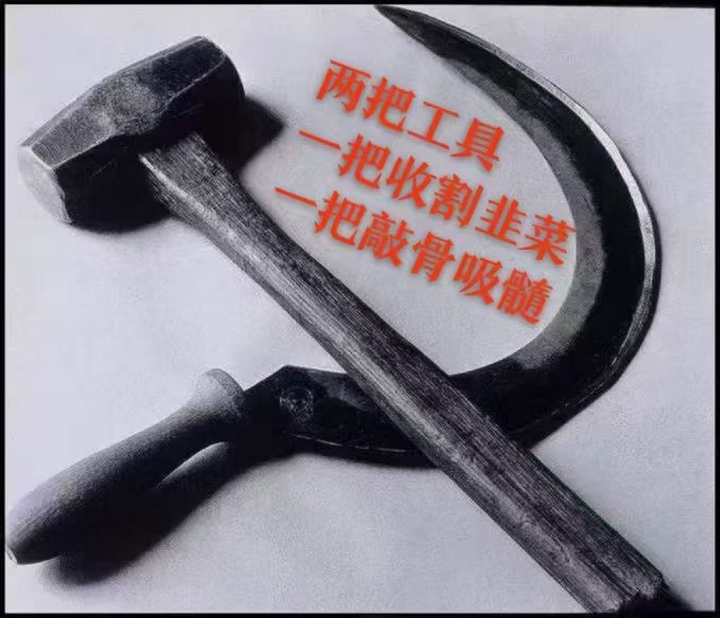 Flower Yard tweet media