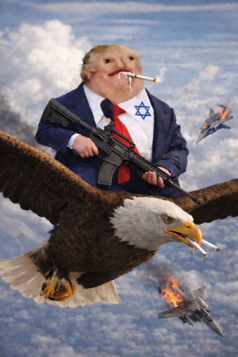 Bettercall Sol (acc) tweet media