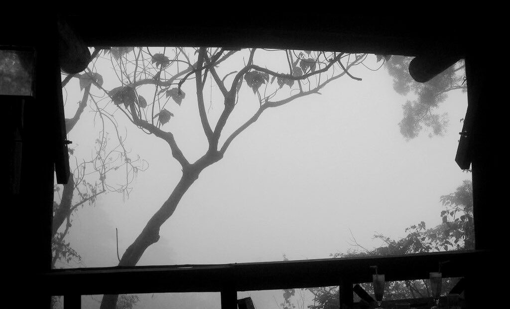 angel of edtwt .ᐟ tweet media