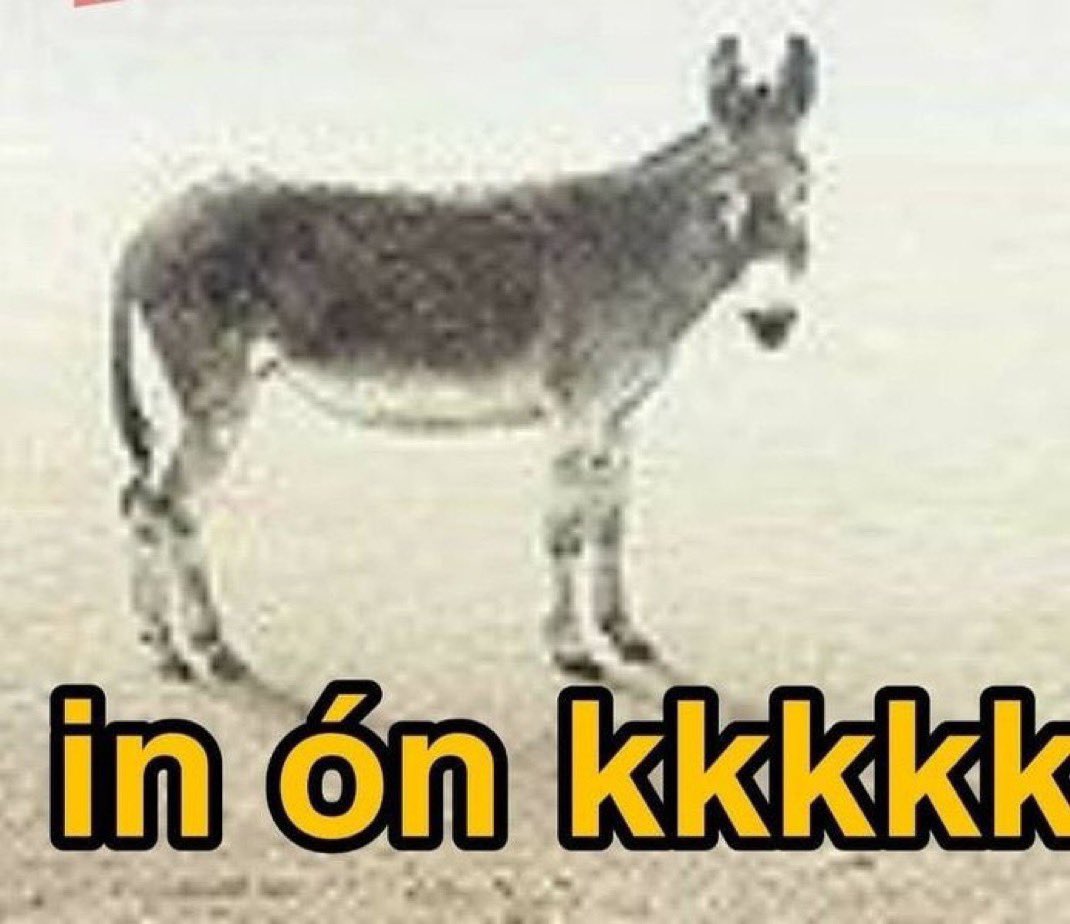 kkas⁷ 🦇 tweet media